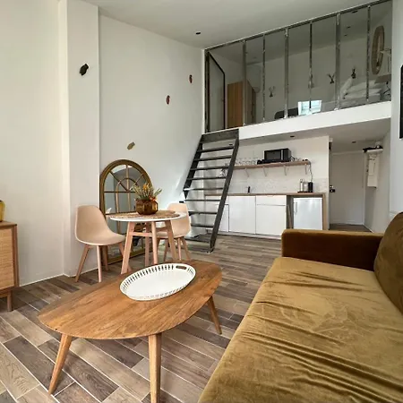 Charmant Loft Moderne Au Coeur De